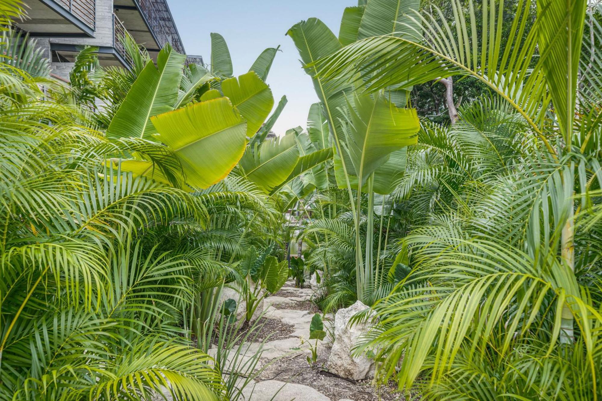 Waterworld Tulum 2Br W Cenote -Lagoons - Big Gym Esterno foto